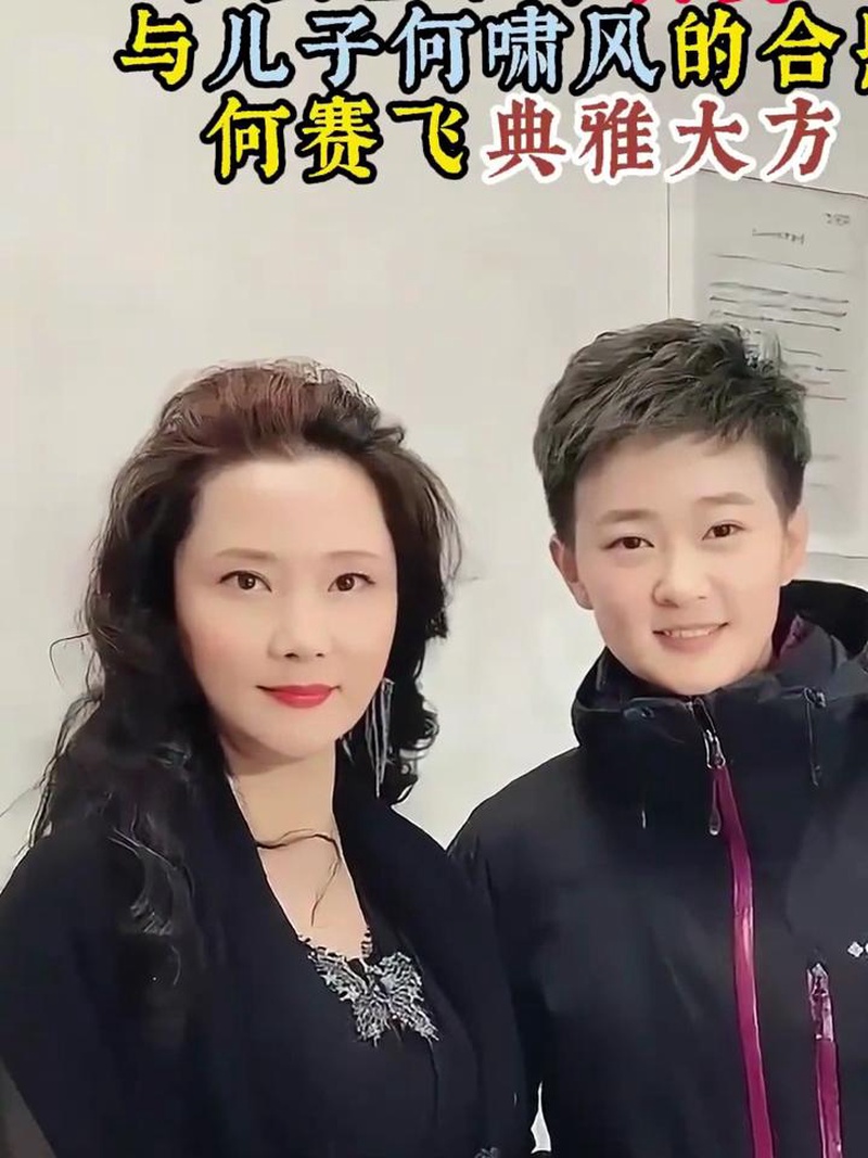 何赛飞