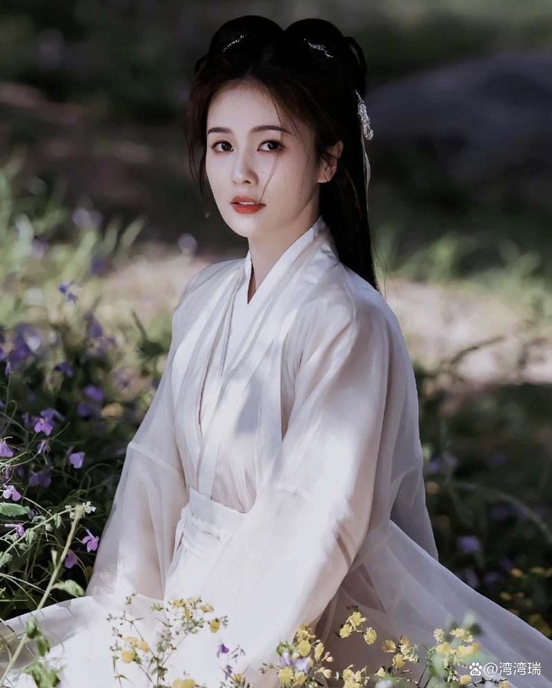 白鹿